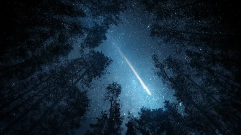 ท้องฟ้าค่ำคืน เดือนพฤศจิกายน 2567 เตรียมชม "ฝนดาวตก-ดาวเคียงเดือน"