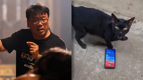 ผู้กำกับแม่หยัว ชี้แจงด่วนปมดราม่าทารุณสัตว์ พร้อมคลิปอัปเดตน้องแมว (คลิป)