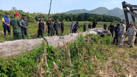 บุกยึด “ไม้ประดู่ลายเสือ” อายุกว่า 200 ปี หายากที่สุดในไทย จ่อขายจีนเทา