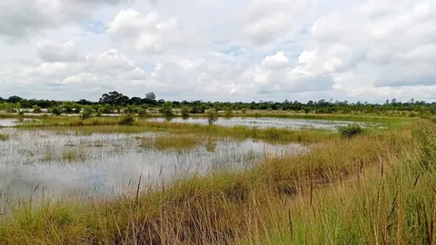 รังวัดที่ดิน น.ส.ล. นายทุนฮุบ 500 ไร่