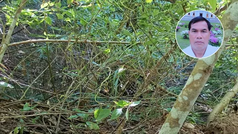 “อดีต สท.” ออกไปกรีดยาง ถูกยิงดับ คาดฝีมือนายพราน คิดว่าเป็น “หมูป่า”