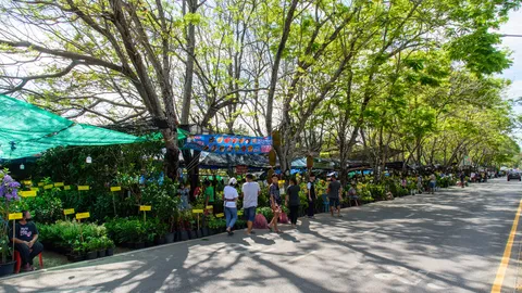 งานเกษตรกําแพงแสน 2567 มีวันไหน เช็กกิจกรรม เที่ยวงานแฟร์ส่งท้ายปี