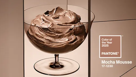 Mocha Mousse สีน้ำตาลแห่งความสุข สีแห่งปี 2025 จาก PANTONE