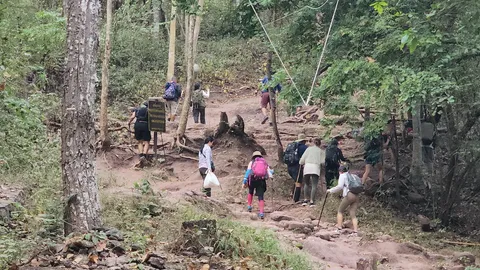 นทท.ภูกระดึง ไม่กังวลหลังมีคนถูกช้างป่าทำร้าย แนะทำตามกฎ หากเกิดเหตุฉุกเฉิน