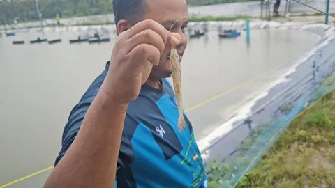 ผู้เลี้ยงกุ้งกระอัก น้ำป่าทะลักท่วมคันบ่อ 30 นาทีเสียหาย 5 ล้าน