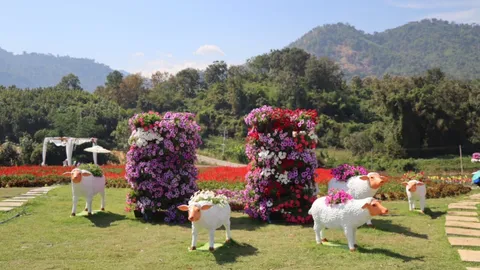 จากไร่มันสู่สวนดอกไม้ "Khlonglan Flora Park" เบ่งบานพร้อมรับนักท่องเที่ยว