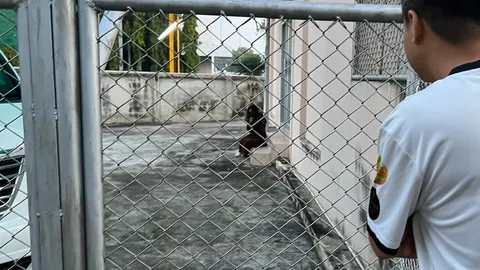 ชาวบ้านแตกตื่น "สาวคลุ้มคลั่ง" ตะโกนขอความช่วยเหลือ บอกจะมีคนมาทำร้าย