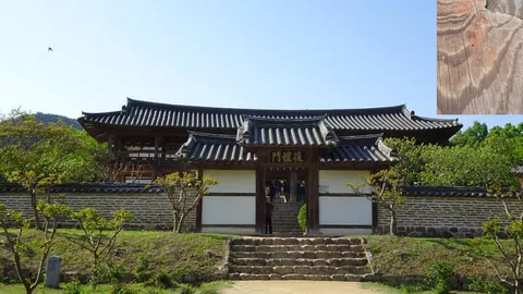 ซีรีส์เกาหลีงานเข้า ตำรวจสอบสวนเหตุทำแหล่งมรดกโลกเสียหาย