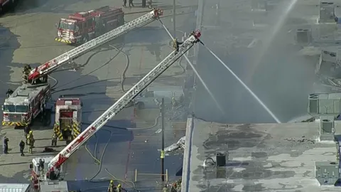 สุดสลด ไฟไหม้ห้างในสหรัฐฯ สัตว์ร้านเพ็ทช็อบตายกว่า 500 ตัว