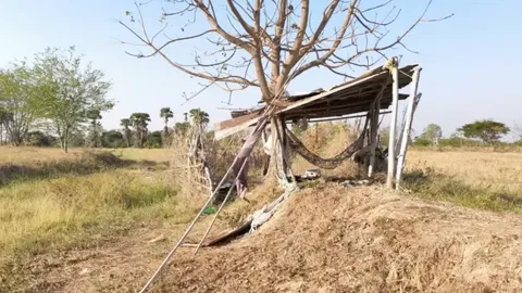 ยังไม่เจอตัวคนร้าย ข่มขืนหญิงชรา หลังตรวจดีเอ็นเอผู้ต้องสงสัยแล้ว กว่า 20 ราย