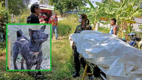 ฆ่าเจ้าของ