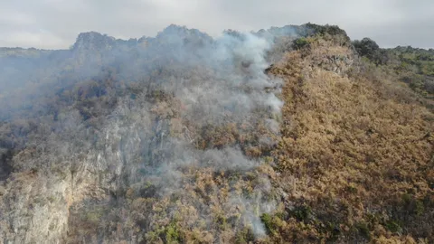 ยังคุมไม่ได้ ไฟไหม้ป่าดงพญาเย็น เร่งขยายแนวกันไฟ 