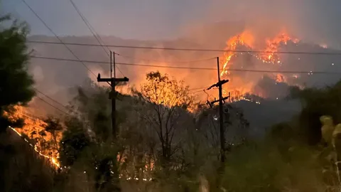 ไฟไหม้ป่าเขาค้อ เปลวเพลิงลุกลาม อยู่ระหว่างตรวจสอบ จุดไฟเผา หรือเป็นไฟป่า