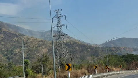 ไฟไหม้ป่าเขาค้อ จ.เพชรบูรณ์ ล่าสุดเจ้าหน้าที่สามารถควบคุมได้แล้ว