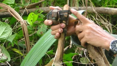 หนุ่มฉีดพ่นยาต้นทุเรียน โชคดีสังเกตเห็นเชือก พลาดอีกก้าวเดียวเหยียบระเบิด