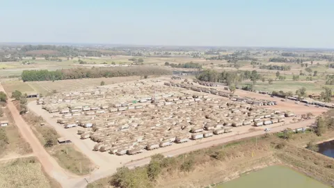 ปิดโรงงานน้ำตาล กระทบ "อ้อย" ตกค้าง 2  พันคัน วอนรัฐแก้ปัญหา ขู่ลงถนน