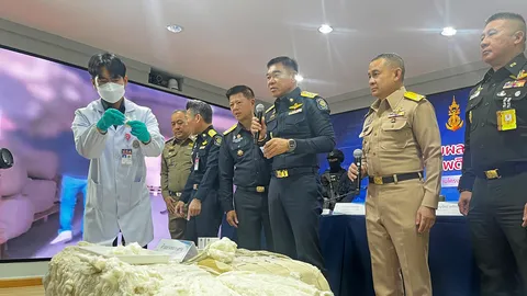 ไอซ์ซุกฝ้าย