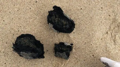 ผลตรวจก้อนปริศนา เกยหาดซิดนีย์ มีเชื้ออีโคไล และแบคทีเรียสารพัด