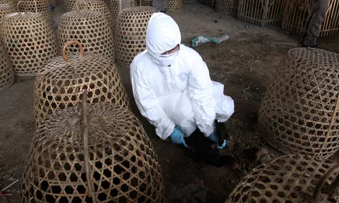 โลกาภิวัตน์ 16/08/55