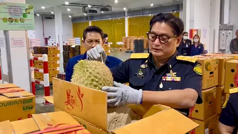 อธิบดีกรมวิชาการเกษตร มั่นใจส่งออกทุเรียนไทยคุณภาพสูงสู่จีน