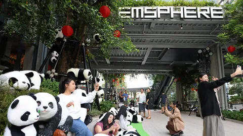 ฉลอง 50 ปี สัมพันธ์ไทย-จีน "เอ็มดิสทริค" โชว์อลังการ