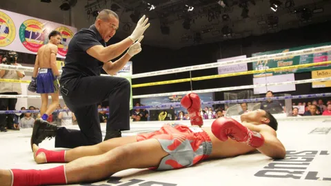 "ยอดเหล็กแหลม" สับศอกใส่ "นำโชค" หลับกลางอากาศ ชนะน็อกยก 3 คว้าชัย "ศึกมวยปูนเสือ"