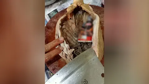 หญิงสุดงง เล่านาทีสับมีดลงเป็ดไหว้เจ้า เสียงดังแกร๊ก เปิดมาเจอกระป๋องกาแฟยัดไส้