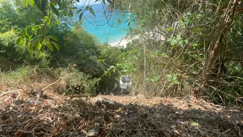 รถบัสรับนักท่องเที่ยวเบรกแตก เสียหลักตกเหวลึก 15 เมตร บาดเจ็บ 9 ราย