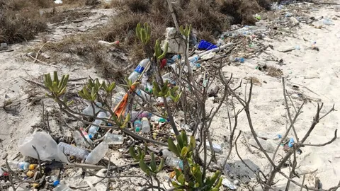 สั่งปิด "เกาะจวง" แสมสาร หลังพบนักท่องเที่ยวลักลอบขึ้นเกาะ ทิ้งขยะ-สิ่งปฏิกูล