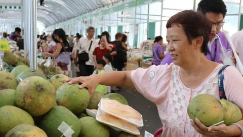 สินค้าเกษตรปี67 ทำนิวไฮทุบสถิติส่งออกสูงสุด
