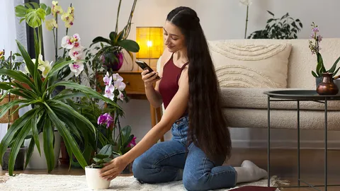 พลังที่ซ่อนอยู่ของดอกไม้ : ดอกไม้ส่งผลต่ออารมณ์และความรู้สึกได้อย่างไร