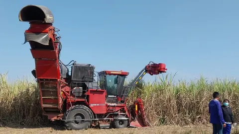 สลด รถตัดอ้อยดูดร่างเด็ก 15 ถูกใบมีดเฉือนเสียชีวิต