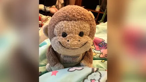 เปิดใจหนุ่มประกาศตามหา "ตุ๊กตาลิงสีน้ำตาล" ของแฟนสาว มีเงินรางวัลให้ 3 หมื่น