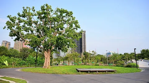 "สวนจากภูผาสู่มหานที" สานสัมพันธ์ "ป่า-น้ำ-คน"