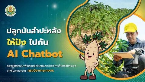 "กรมวิชาการเกษตร" เปิดตัว "AI Chatbot" ตัวช่วยเพื่อเข้าถึงข้อมูลความรู้งานวิจัยปลูกมันสำปะหลัง