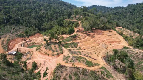 เปิดปฏิบัติการ ทวงคืนผืนป่าตะวันออก หลังพบบุกรุกสร้างบ้านพัก-ปลูกทุเรียน