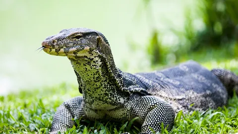 ฮึดเติมกึ๋น ประชาชนรู้จัก "ตัวเงินตัวทอง" สสล.ตั้งทีมปฏิบัติการฉุกเฉิน ระวังภัยต้นไม้หักโค่น