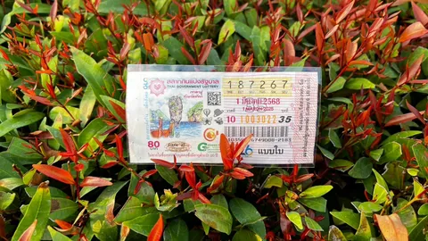 10 อันดับ "เลขเด็ด" 1/3/68 แม่ค้าหวยบอก "เลขดัง" สลากสัญจรพังงา ไม่มีแล้ว