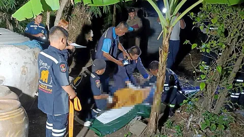 หลอนฆ่ายาย