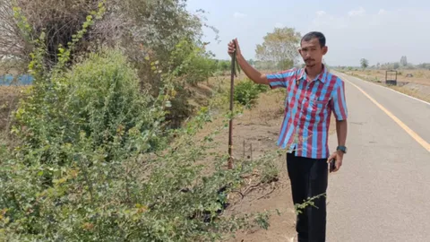 อุทาหรณ์ เด็ก 11 ขวบ เจอปืนยิงปลาตกอยู่ข้างทาง พลาดลั่นไกลูกศรปักคอสยอง