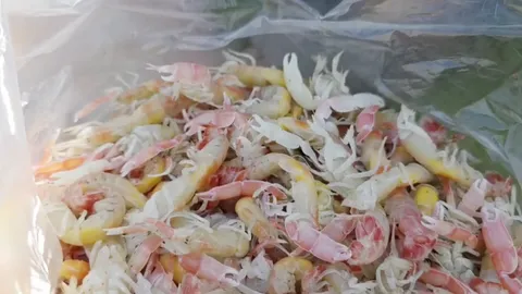 “กั้งหางแดง” โผล่เกลื่อนหาดบางแสน คนรู้ข่าวแห่จับไปทำอาหาร