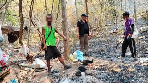 คุก 4 ปี ไม่รอลงอาญา ปรับกว่า 133 ล้าน มือเผาป่าที่พิษณุโลก