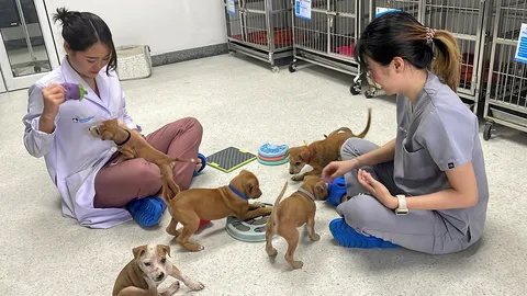 ของว่างวันอาทิตย์ 9 มีนาคม 2568