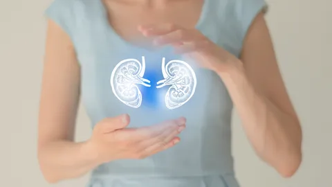 ไตเสื่อม เสี่ยงถึงชีวิต รู้ทันโรคไต ก่อนสายเกินแก้