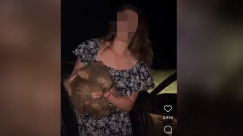 อินฟลูฯ สาวอเมริกัน ที่อุ้มลูกวอมแบตถ่ายคลิป ล่าสุดออกนอกประเทศไปแล้ว หลังออสเตรเลียขู่เพิกถอนวีซา