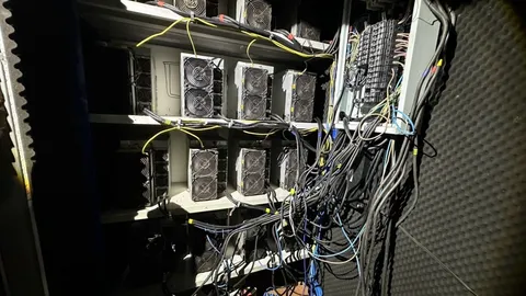 บุกทลายเหมืองขุดบิทคอยน์เถื่อน ยึดบ้านร้าง - ลักใช้ไฟหลวง เสียหายกว่า 11 ล้าน