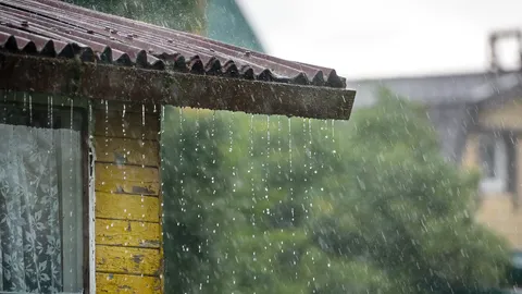 ประกาศฉบับ 6 เตือนพายุฤดูร้อน-ฝนตกหนักภาคใต้ 17-20 มี.ค. 68