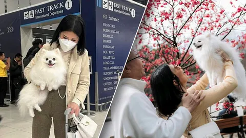 “แฮปปี้แฟมิลี่”