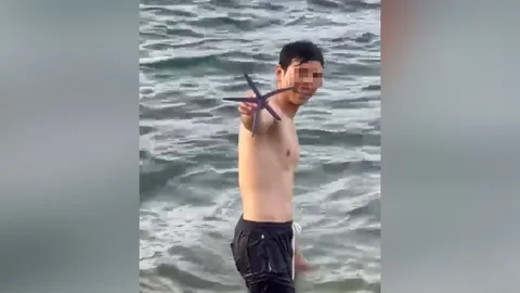 ภูเก็ต โผล่อีกหนุ่มพม่า จับปลาดาวหลายตัวมาเล่น จะเก็บเอากลับ คนไทยเตือนไม่ฟัง
