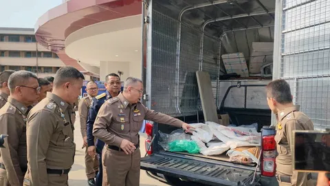 โชว์ผลงาน